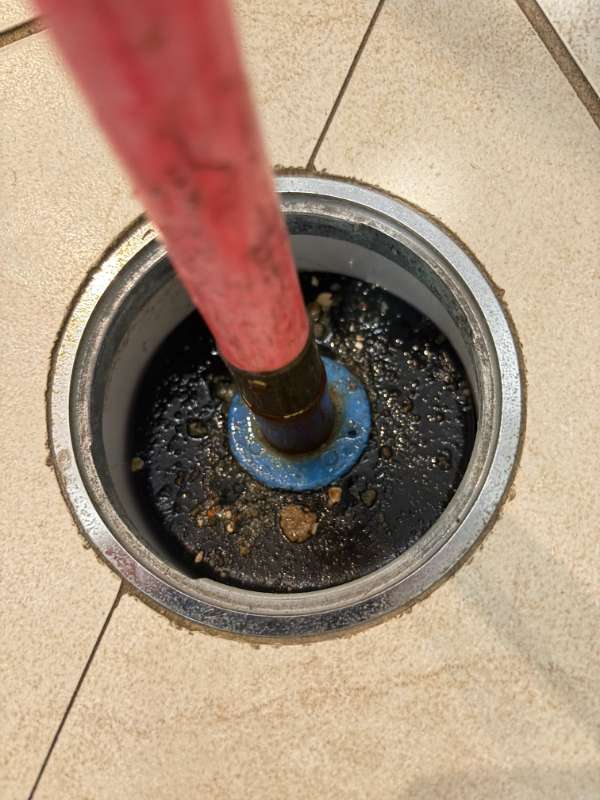 Jetting a blocked floor waste in a Maroubra home